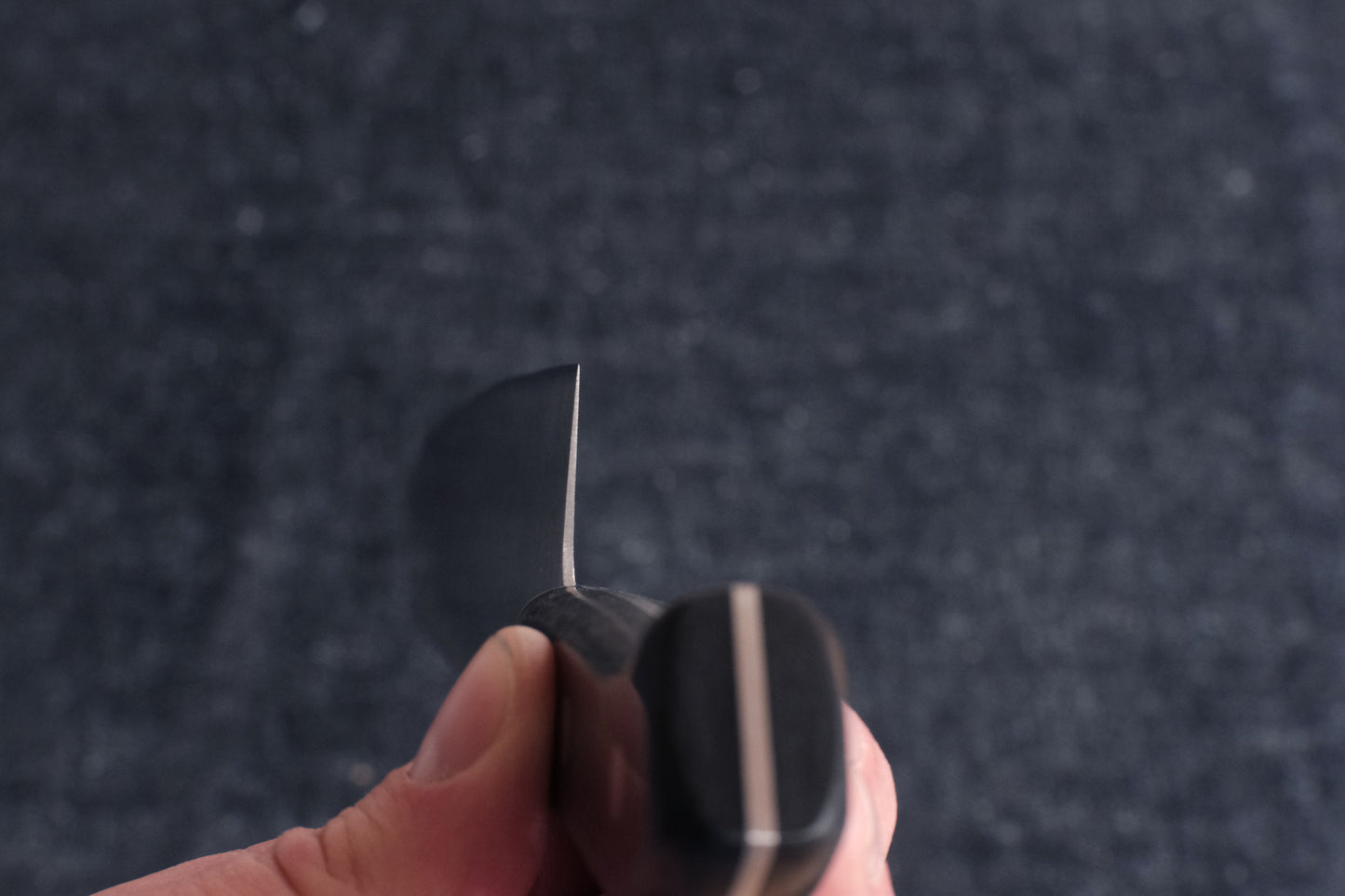 Kiya Edelweiss stainless gyuto 230 mm