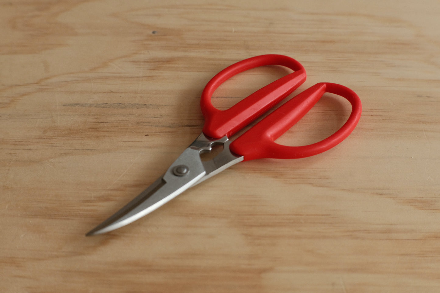 Fish and crustacean scissors with a red handle