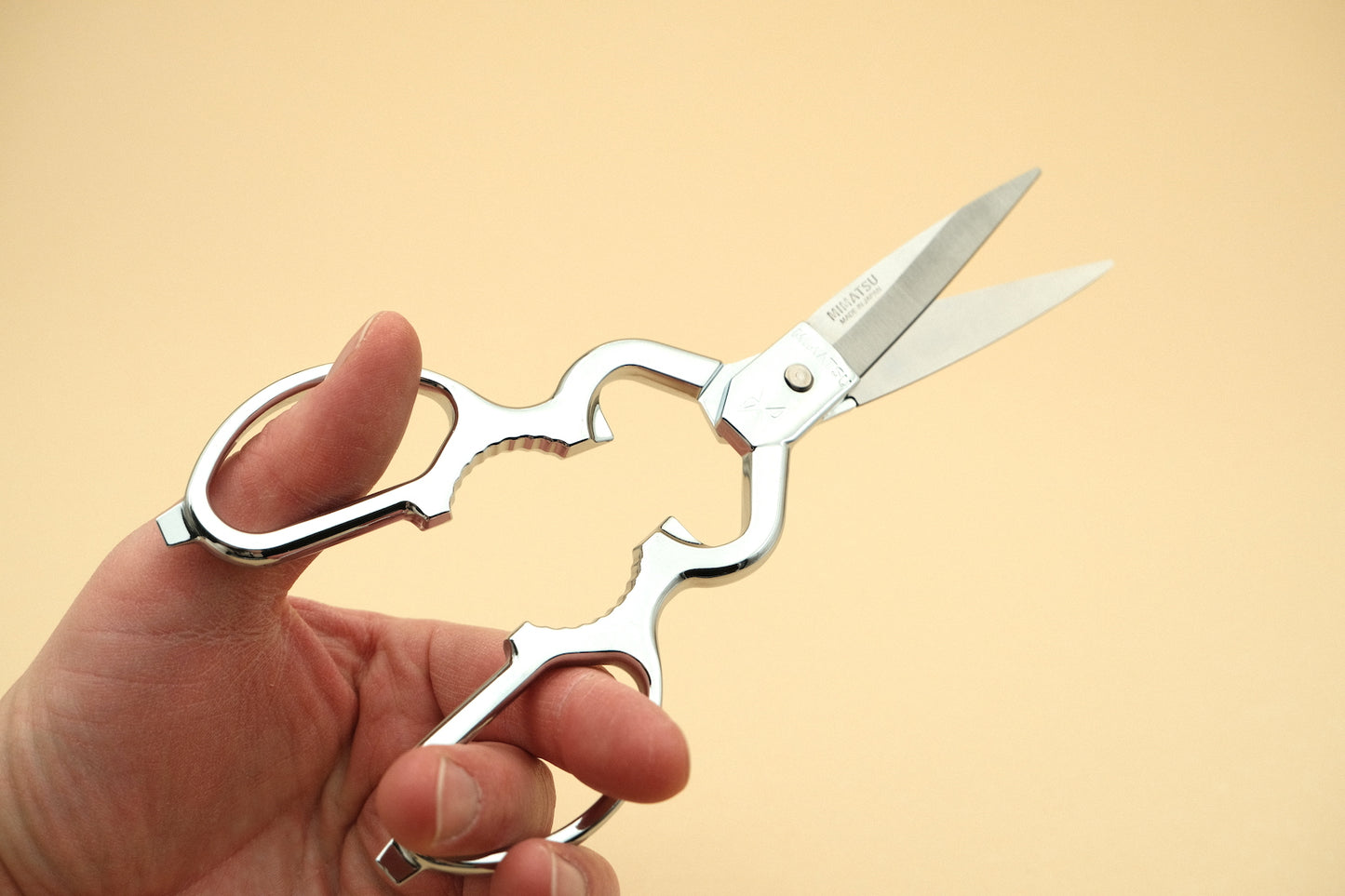 Stainless steel kitchen scissors
