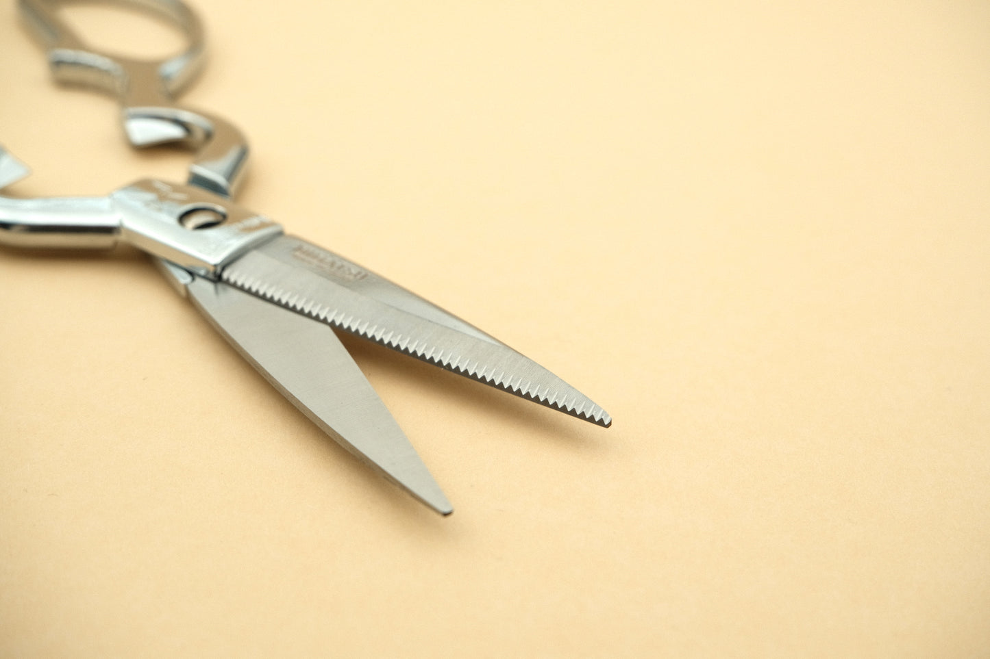 Stainless steel kitchen scissors